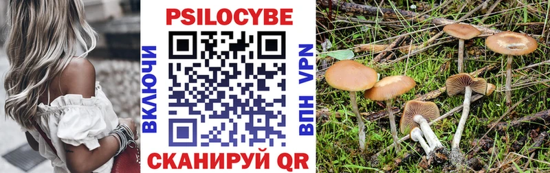 Псилоцибиновые грибы Magic Shrooms  Тихорецк 